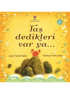 Esranın Dünyası Taş Dedikleri Var Ya...