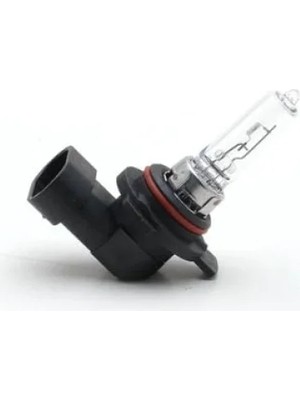 Esranın Dünyası Halojen Ampul 12V 55W