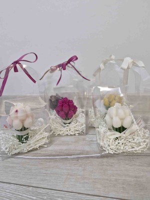 Sabrina Organizasyon Yasemin Kokulu Dekoratif Mum 10 Adet Asetat Çantalı