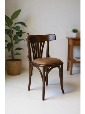 Kleinhaus Furniture Tonet Ahşap Sandalye, Gürgen Ahşap, Değiştirebilir Kumaş ve Renk