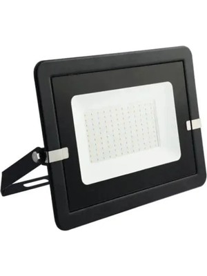 Pelsan Lecto 50W 5000K LED Projektör