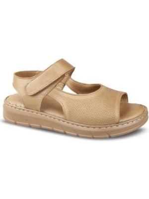 Ceyo 0328 (36-40) Zenne