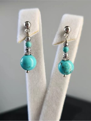 Home Doğaltaş Turkuaz Taşı Sallantılı Çelik Küpe