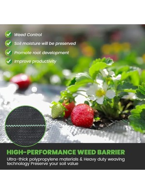 Yabani Ot Bariyer Matı