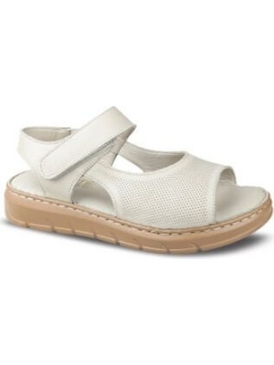 Ceyo 0328 (36-40) Zenne