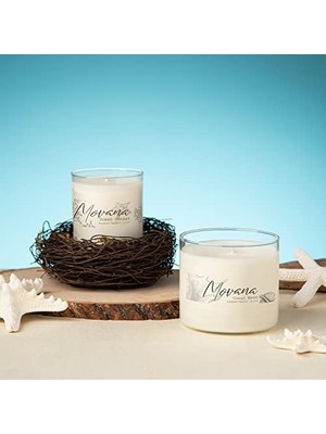 Adoz Shopping Mat Şeffaf Adres Etiketleri, Sure Feed Teknolojisi, Lazer, 1-1/3" x 4", 700 Etiket, 5 Paket (5662)