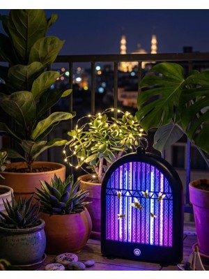 Masa Dostu W11 Sinek Kovucu Tdms-07