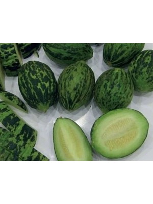 Esranın Dünyası Doğal Kavun Tohumu - Turşuluk Çeşidi