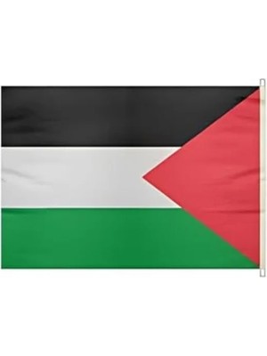 Esranın Dünyası Elde Sallama Bayrağı - Filistin 30X45 cm