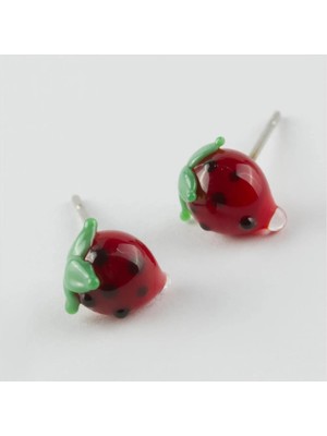 Lowell Home Ieg Çilek Cam Küpe LWLBJT-RSIEG327