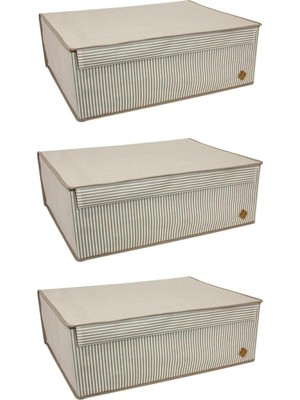PremiumPort 3'lü Baza Içi Düzenleyici Kapaklı Organizer Kutu 50X40X19 cm