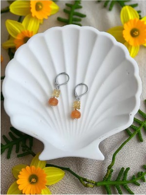 Home Sitrin & Karneol Akik Çelik Küpe