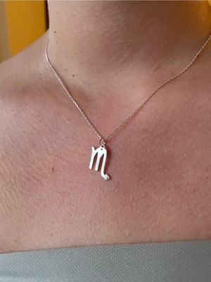 PremiumPort 925 Ayar Gümüş Akrep Burcu Kolye, Şık ve Zarif Takı Seçeneği