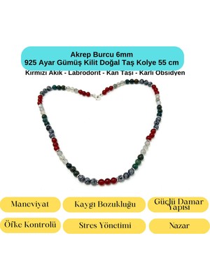 PremiumPort 6mm Akrep Burcu Gümüş Doğal Taş Kolye 55 Cm, Zarif ve Şık Takı