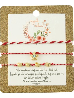 LTG Nova 3 Adet Deniz Yıldızı Marteniçka Bileklik