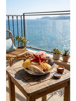 Fi Hediyelik Deniz Kabukları ve Yıldız Seti Aranjmanı Marine Konseptli Ev Hediyesi Banyo Balkon Dekoratif Sunum