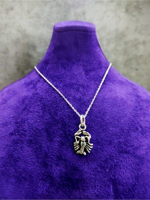 PremiumPort Yengeç Burcu Gümüş Kolye Kadın Şık Takı Aksesuar Günlük Kullanım