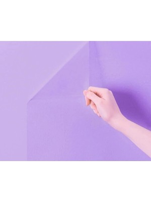 Fun And Market Buğz Kendinden Yapışkanlı Şeffaf Tahta Filmi - 2 Metre x 45 cm