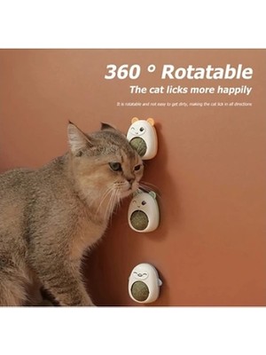 Fun And Market Buğz Ayıcıklı Kedi Otu Yalama Topu