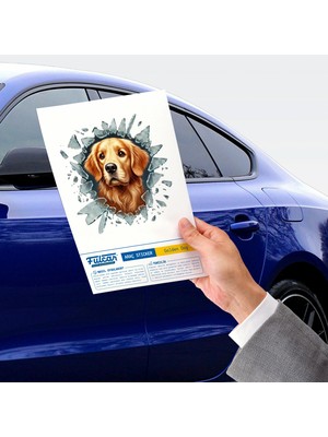 Fun And Market Buğz Fulcar Golden Araç Stickerı