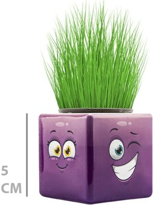 Fun And Market Buğz Çim Adam Mini Küp Emoji Figürlü 1 Adet