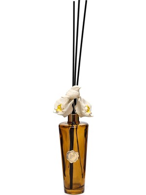 Missi Kendi Kokunu Seç-Dekoratif Amber Uzun Cam Seramik Taş Çubuklu Difüzör-(Esanssız)