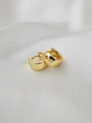 PremiumPort Kadın Çelik Minik Halka Küpe, 14K Gold Renk, Şık ve Zarif Takı