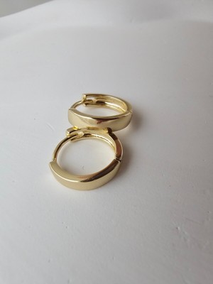 PremiumPort Kadın 14K Gold Renkli Çelik Minik Halka Küpe, Şıklık ve Zarafet