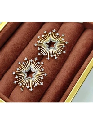 PremiumPort Parlak Altın Tonlu Şık Küpe, Zarif ve Modern Takı Aksesuarı