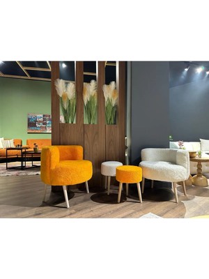 Dekor Mobilyacım Çay Seti Ikili Koltuk Berjer ve 2 Adet Puf Takımı 4'lü Berjer Puf Peluş