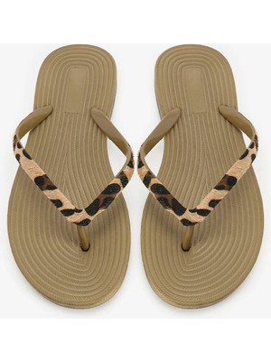 Penti Renkli Daily Terlik