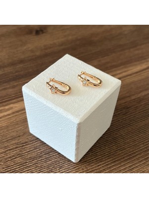 PremiumPort Kadınlar Için Pembe Altın Renkli Çelik Küpe, Şık ve Zarif Takı