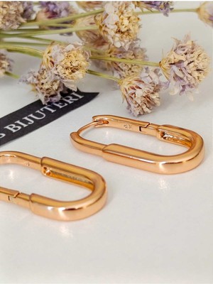 PremiumPort Şık Rodyum Altın Kaplama 316L Çelik Küpe ve Hediye Paketi