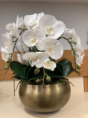 Plus Home Yapay Çiçek Islak Beyaz Orkide Döküm Pirinç Saksı Içi Arajman Büyükboy Renk Antik Eskitme