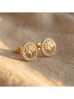 PremiumPort Şık Yuvarlak Küpe, 14K Altın Rengi Kaplama, 1 Cm, Zarif Takı