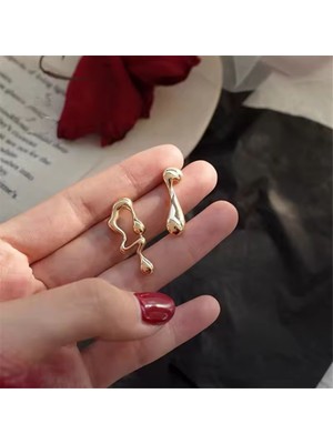 PremiumPort Şık ve Hafif Antialerjik Çelik Küpe, Günlük Kullanım Için Mükemmel