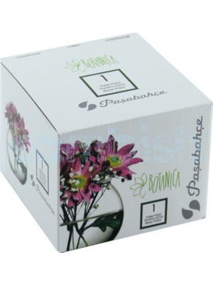 Paşabahçe Botanica Mini Küre Vazo Şık Tasarım Renkli Cam Malzeme ile Evinize Değer Katar