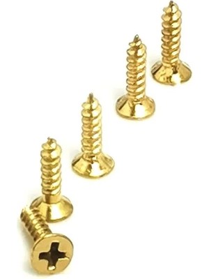 TeknoKapsül Klips, Menteşe, Ayak, Ysb Sac Vidası - 2,9x9,5mm Sarı, 100 Adet