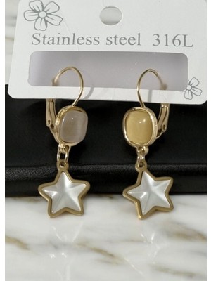 PremiumPort Şık Yıldız Çelik Küpe, Dayanıklı ve Parlak Tasarım