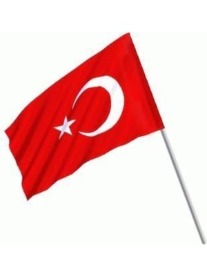 Pearl Shop 1 Adet 20 x 30 Raşel Sopalı Ayyıldız Bayrak - Türk Bayrağı