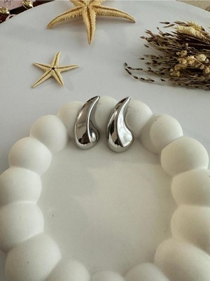 PremiumPort Parlak Çelik Damla Küpe, Şık ve Zarif Takı Tasarımı