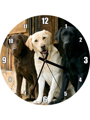 Kare 50X50 cm Labradorlar Temalı Duvar Saati, Şık ve Modern Tasarım