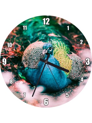 Renkli Tavuskuşu Temalı Büyük Duvar Saati 50X50 cm