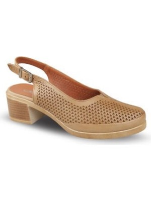 Ceyo 1030 (36-40