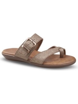 Ceyo 9827-29 (3541) Zenne