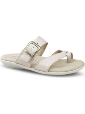 Ceyo 9827-29 (3541) Zenne