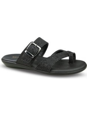 Ceyo 9827-29 (3541) Zenne