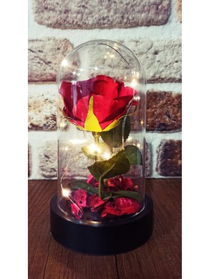 Pileli Store LED Işıklı Şeffaf Mika Fanusta Işıklı  Gül Kırmızı