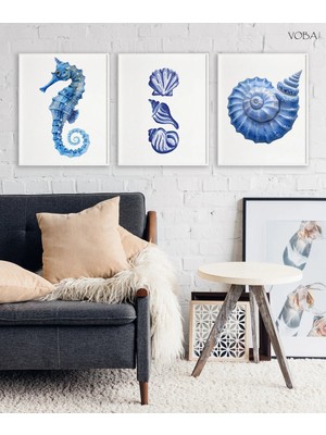 Voba Store 3 Parça Dekoratif Deniz Kabuğu Tablo Seti