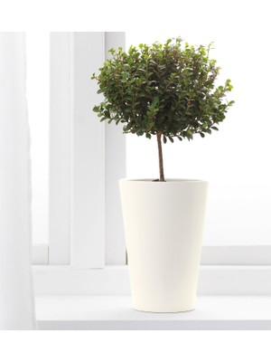 IKEA Papaja Saksı Beyaz 12x19 cm 70186655